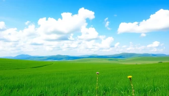 Goodness Background