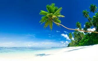 Vanuatu Beaches Style My Beach