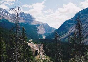 Banff To Jasper Highway High Quality And Resolution