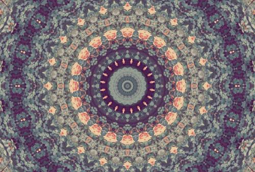 Mandalas Gif