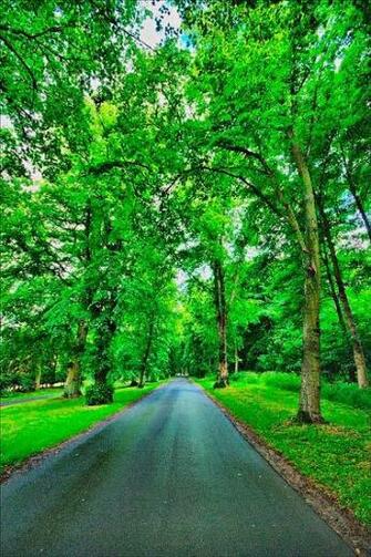 Beautiful Mobile Wallpaper Nature