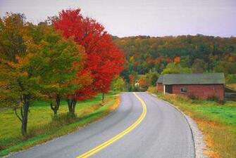 Every Thing HD Wallpaper The World Most Beautiful Ever Roads Photos