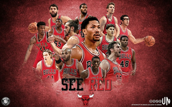 Chicago Bulls See Red By Vndesign