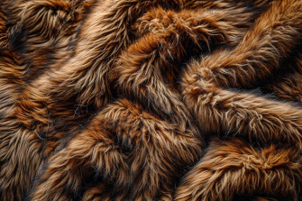 Fur Wallpaper Image