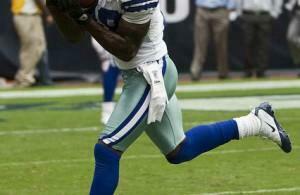 Justin Howe Fakepigskin