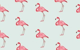 Comments Bie Illustration