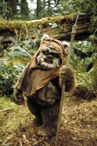 Star Wars Ewok Wicket Fotobehang Behang Photowall