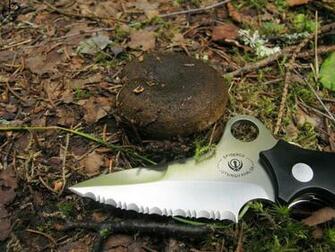 The World S Most Recently Posted Photos Of Spyderco And