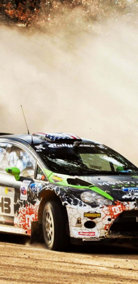 Pixel 3xl Dirt Rally Background Wallpaper