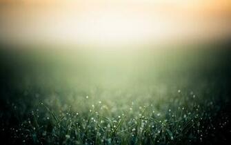 Our Collection Of Background Is Rich Colours And