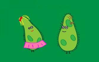 Protist Days