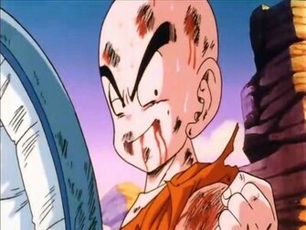 Krillin Wallpaper