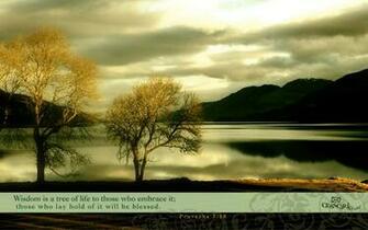 Scripture Wallpaper A From The Nest