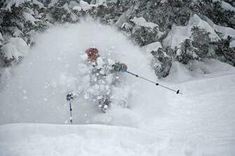 Powder Skiing Wallpaper