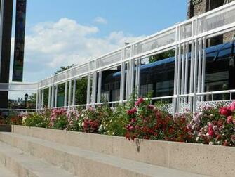 Brampton Ontario Canada Flowers At City Hall Hq Wallpaper