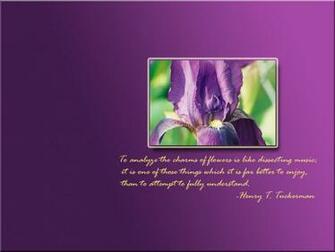 Bearded Iris Wallpaper Desktop Background