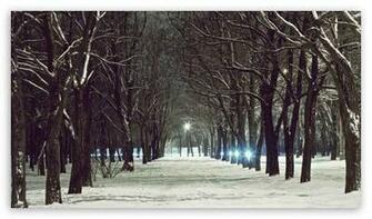 Winter Light HD Wallpaper For High Definition WqHD Qwxga 1080p