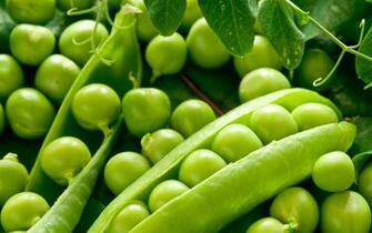Green Peas Wallpaper Jpg
