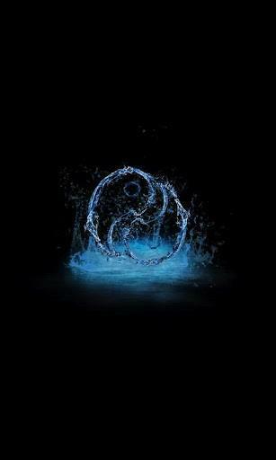 Man Of Tai Chi Wallpaper For