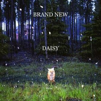 Shakenstir Brand New Daisy