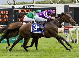 Go Back Image For Secretariat Horse Race