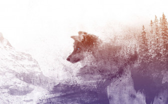 Dog Art Wallpaper