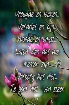 Image About Gedichten Van Om And Tes
