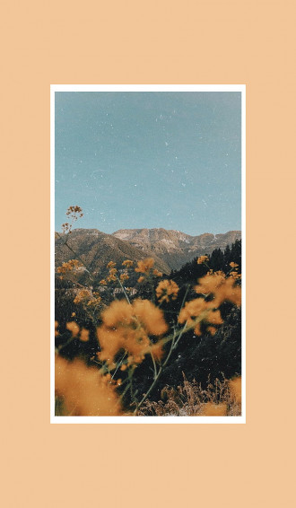 Desert Aesthetic Wallpaper
