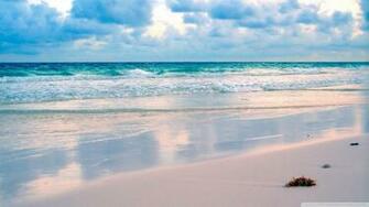 Tropical Beach Wallpaper Wallpoper