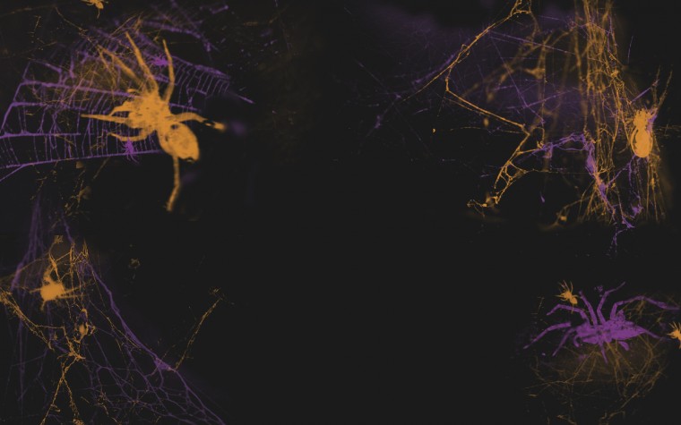 Spider Web Background