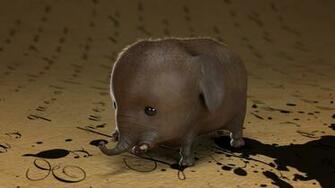 Elephant Computer Wallpaper Desktop Background Id