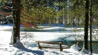 Waterfall Winter Park Background Wallpaper