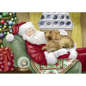 Pomeranian Christmas Cards The Danbury Mint