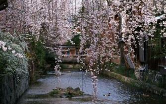 Spring Season HD Desktop Wallpaper Widescreen