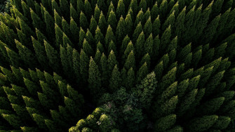 Aerial Nature Forest 4k Ultra HD Wallpaper