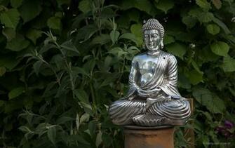 Buddha Wallpaper HD Desktop