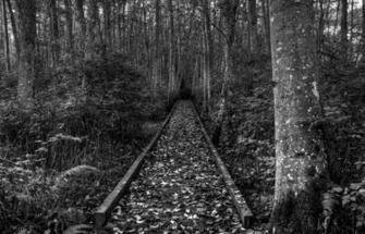 Route Dans La For T Noire