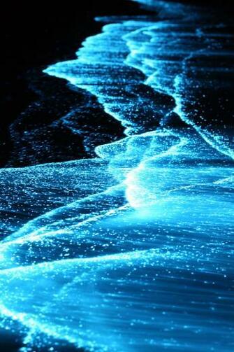 Bioluminescence Sea Glow In The Night At Adaaran
