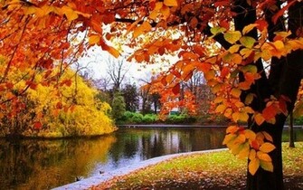 Autumn Themed Wallpaper Available Online To Color The Monitor Warmly