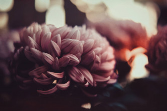 Dark Floral Wallpaper