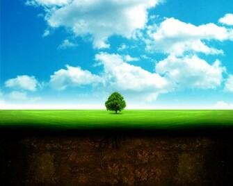 Tree Wallpaper Full Desktop Background