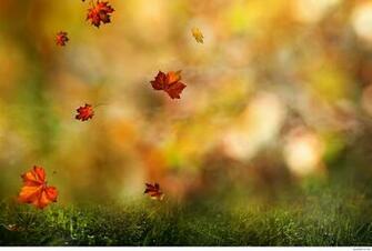 September Wallpaper Top Background