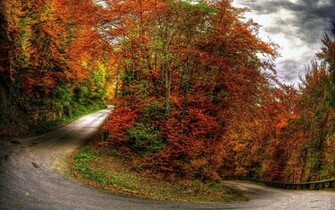 Google Fall Screensavers Wallpaper4me Wallpaper