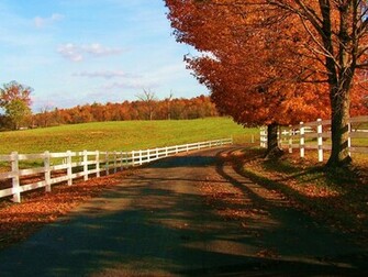 Beautiful Fall Wallpaper Autumn