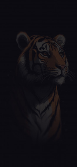 Cool Tiger Black Wallpaper Aesthetic iPhone