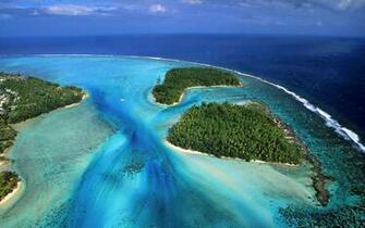 French Moorea Beach Forest Desktop Pc And Mac Wallpaper
