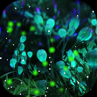Amazon Firefly Forest Live Wallpaper Appstore For Android