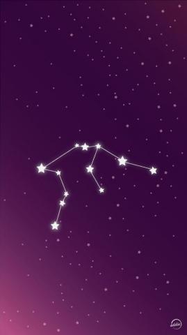 Aquarius Phone Vector Wallpaper iPhone