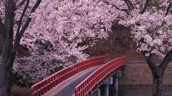 Japanese Nature Wallpaper