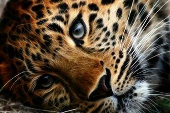 Are Ing Tigers Tiger HD Wallpaper Color Palette Tags